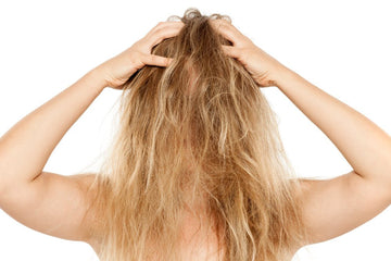 Humidity Proof Hair - elonessentials.com