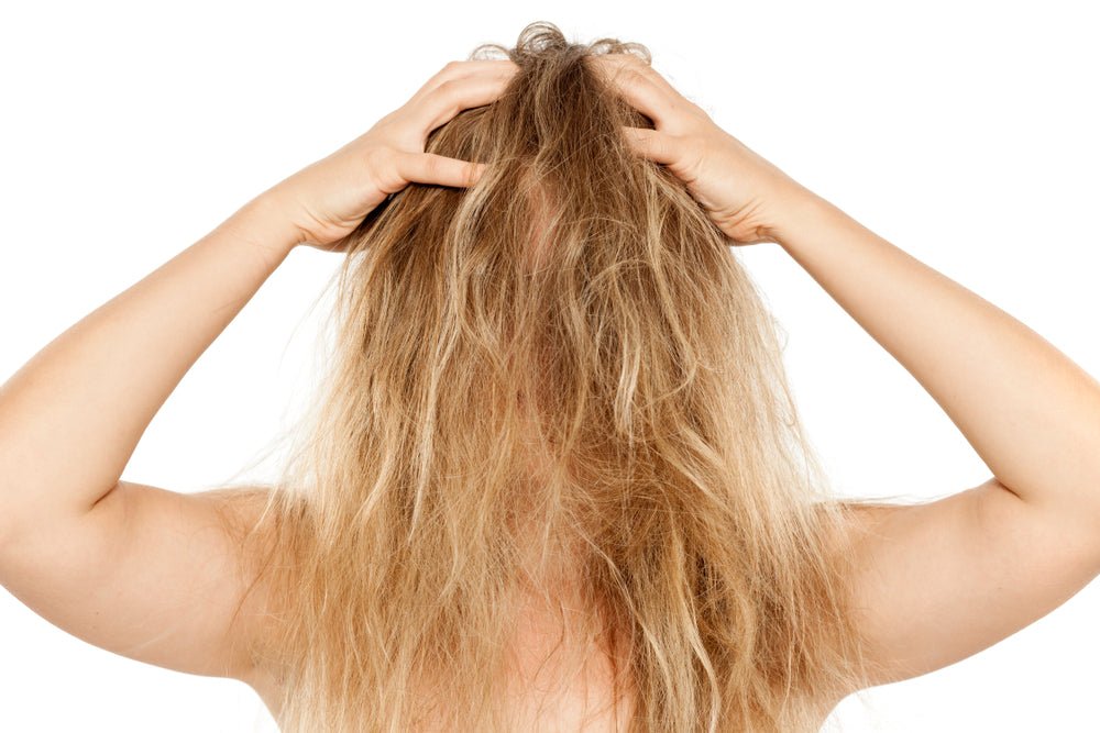 Humidity Proof Hair - elonessentials.com