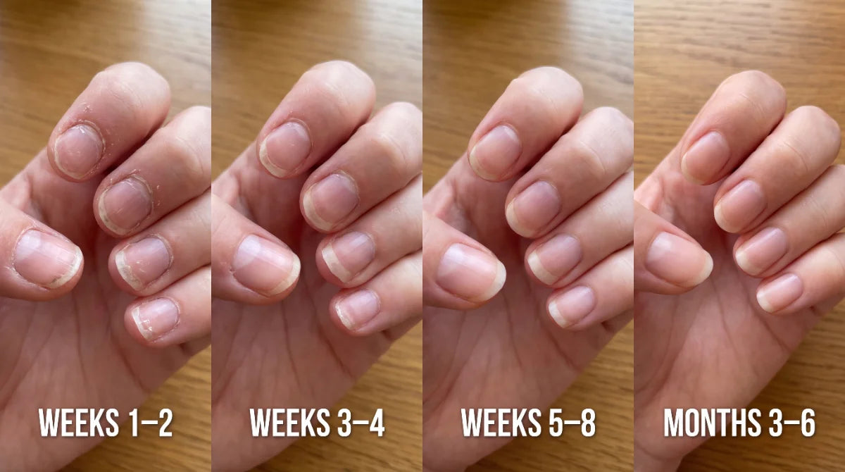 Massaging the conditioner into the cuticle